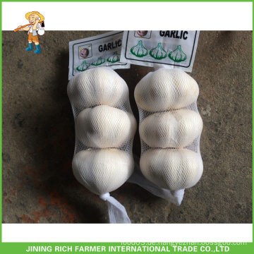 Jinxiang China Knoblauch frischen reinen weißen Knoblauch &amp; normalen weißen Knoblauch 3P 4P 5P Mesh Bag 10KG Karton